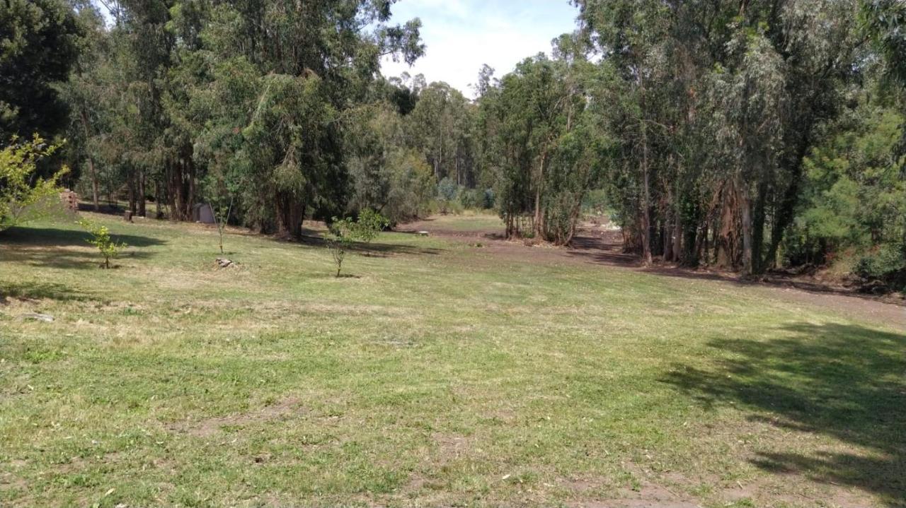 El Bosque De Las Animas Villa Tandil Eksteriør bilde